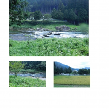 29年友釣り専用区01_05.jpg