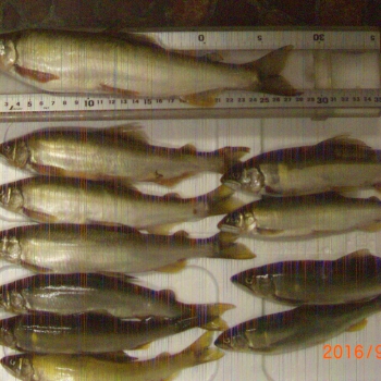CIMG0066.JPG