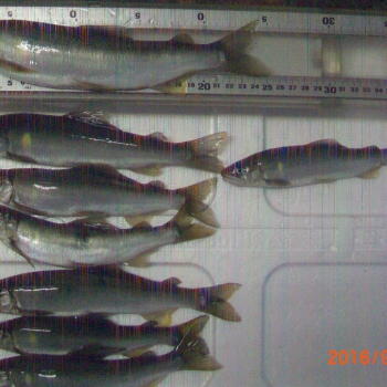 CIMG0070.JPG