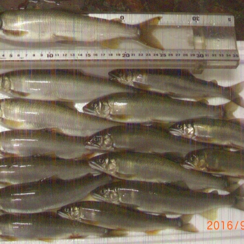CIMG0077.JPG