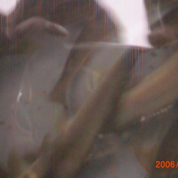 CIMG0095.JPG