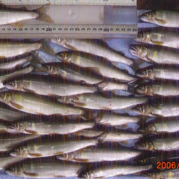 CIMG0103.JPG