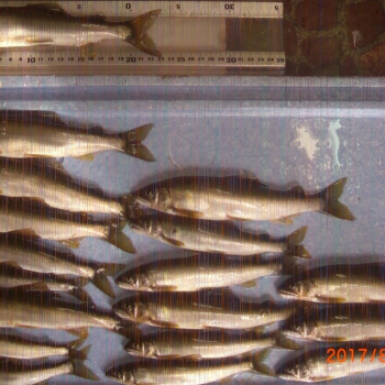CIMG0171.JPG