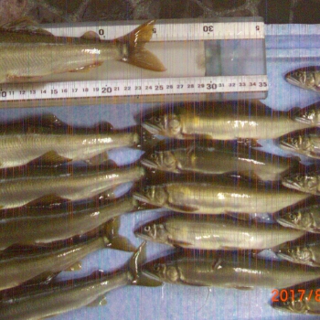 CIMG0177.JPG