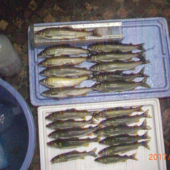 CIMG0188.JPG