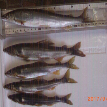 CIMG0235.JPG