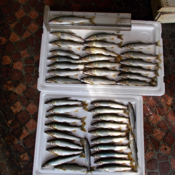 DSCN0001.JPG