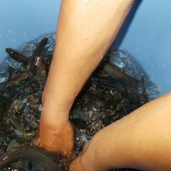 DSCN0021.JPG