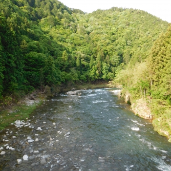 DSCN0054.JPG