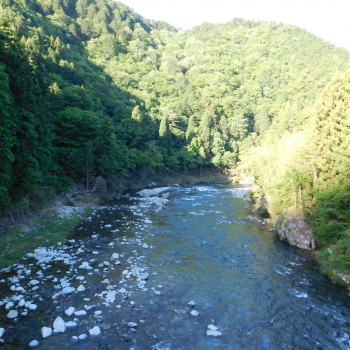 DSCN0058.JPG