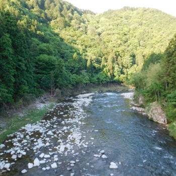 DSCN0062.JPG