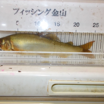 DSCN0067.JPG