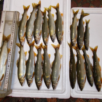 DSCN0070.JPG