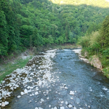 DSCN0134.JPG