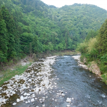 DSCN0138.JPG