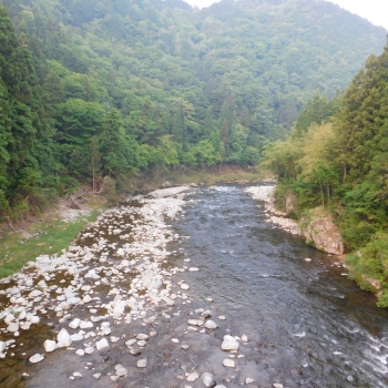 DSCN0142.JPG
