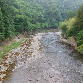 DSCN0146.JPG