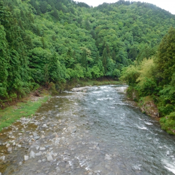 DSCN0184.JPG