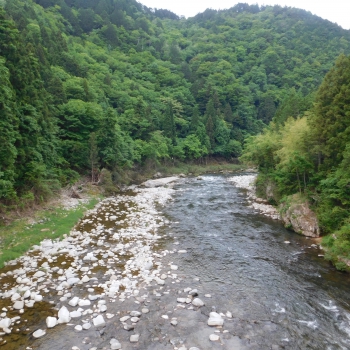 DSCN0192.JPG