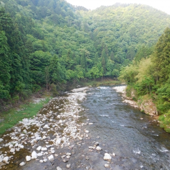 DSCN0196.JPG