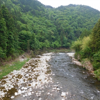 DSCN0233.JPG