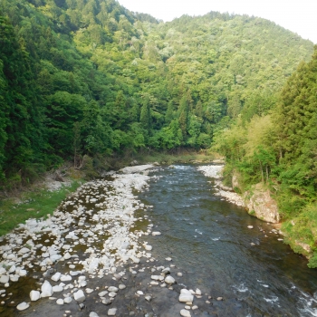 DSCN0237.JPG
