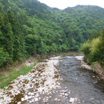 DSCN0245.JPG