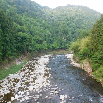 DSCN0249.JPG