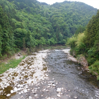 DSCN0253.JPG