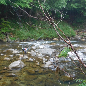 DSCN0293.JPG