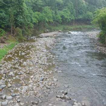 DSCN0296.JPG
