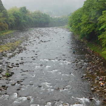 DSCN0297.JPG