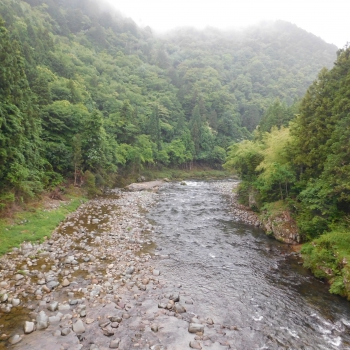 DSCN0301.JPG