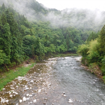 DSCN0309.JPG