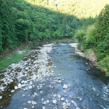 DSCN0313.JPG