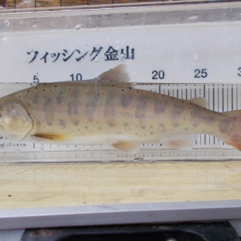 DSCN0318.JPG