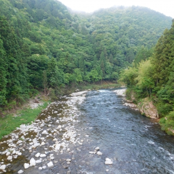 DSCN0320.JPG