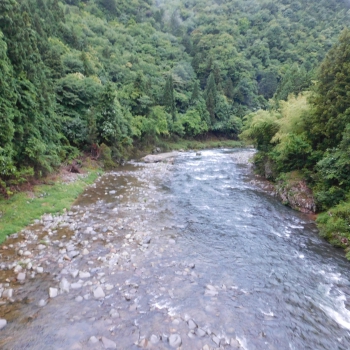 DSCN0329.JPG