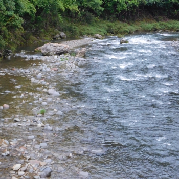 DSCN0330.JPG