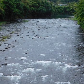 DSCN0331.JPG