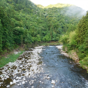 DSCN0333.JPG