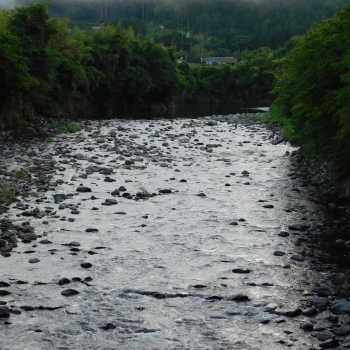 DSCN0335.JPG