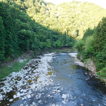 DSCN0338.JPG