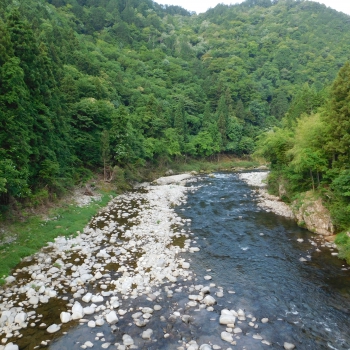 DSCN0342.JPG