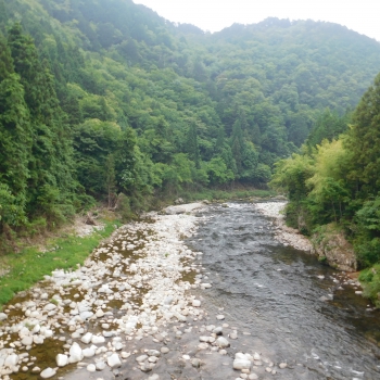 DSCN0350.JPG