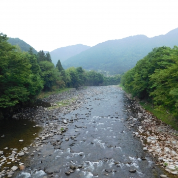DSCN0353.JPG