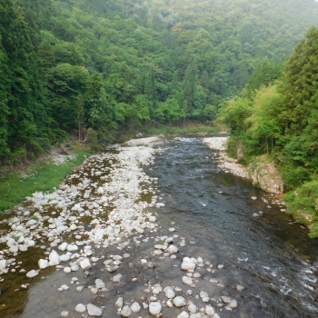 DSCN0358.JPG