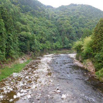 DSCN0368.JPG