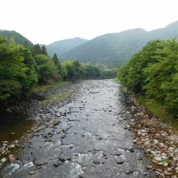 DSCN0372.JPG