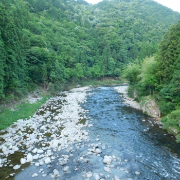 DSCN0373.JPG
